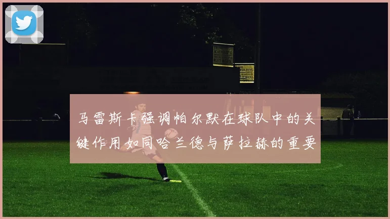 马雷斯卡强调帕尔默在球队中的关键作用如同哈兰德与萨拉赫的重要性