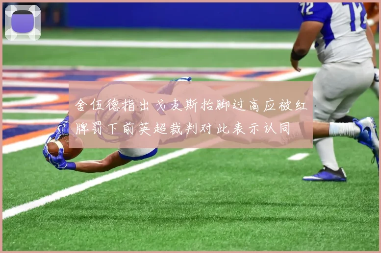 舍伍德指出戈麦斯抬脚过高应被红牌罚下前英超裁判对此表示认同