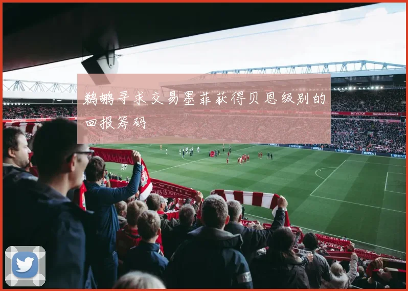 鹈鹕寻求交易墨菲获得贝恩级别的回报筹码