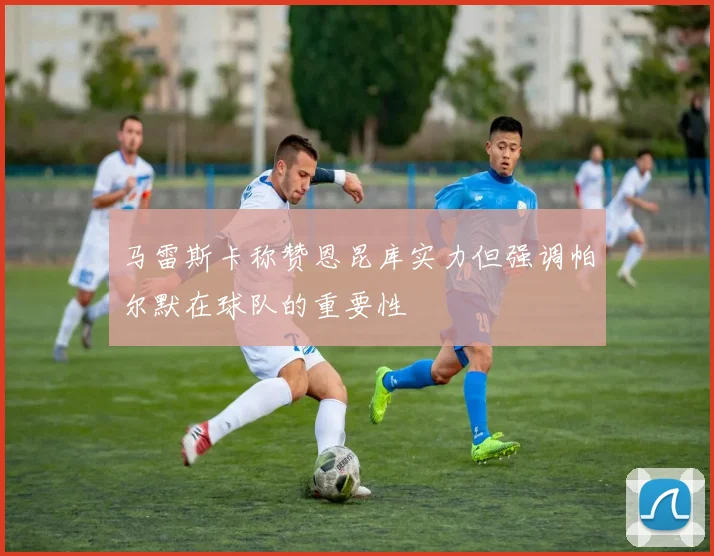 马雷斯卡称赞恩昆库实力但强调帕尔默在球队的重要性