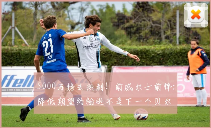 5000万镑去热刺！前威尔士前锋：降低期望约翰逊不是下一个贝尔