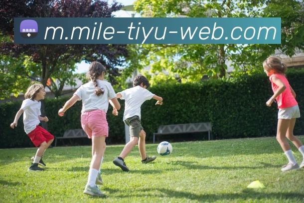 多媒体互动体验