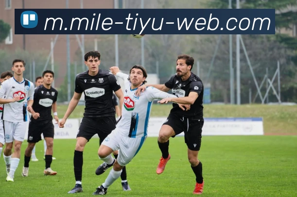 米乐体育APP 高清赛事图